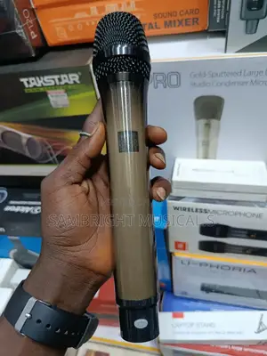 RGB Wx-82 Wireless Microphone