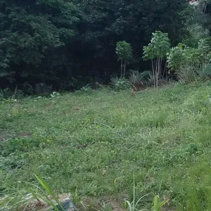 2200sqm Land Available
