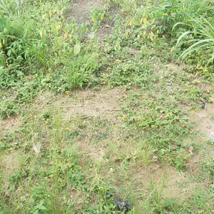 1222sqm Commercial Land