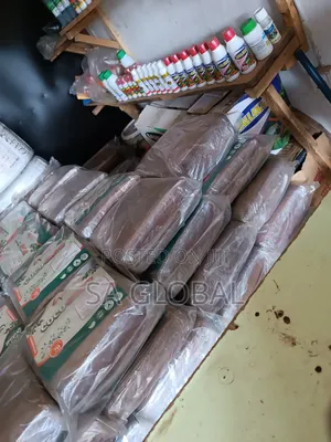 Block Coco Peat