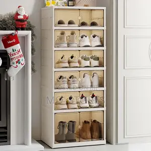 6 Steps Double Plastic Collapsible Shoe Rack