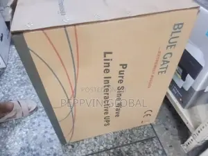 Blue Gate Line Interactive Ups 4kva