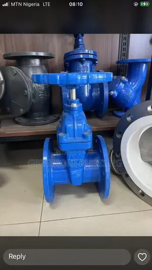 Gate Valve