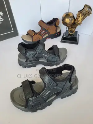 Quality Sanders Is New in Stock