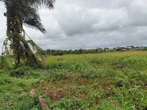 120ft / 240ft ( 4 Plots)Facing 2 Streets Baptist B/S Ijagemo New Rd