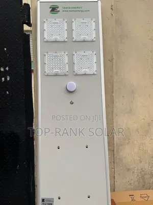 Tasha Street Light 100watts