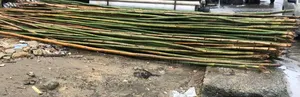 Over Length Bamboo Scaffolding