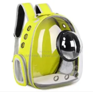 Dog Accessories