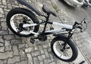 Brand New Hero Bicycle