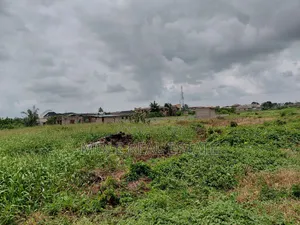 Distress Sale 22ft by 80ft Plot Ikotun Iguando