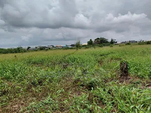 60ft by 120ft Plot of Land Faith Bustop Ijegemo Ojo Lcda