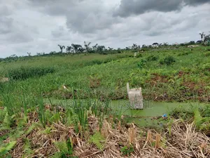 120ft by 120ft 4 Plots Facing Streets Faith B/S Ijegemo