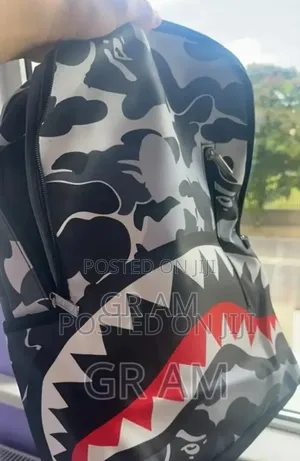 Spray Ground Back Pack.