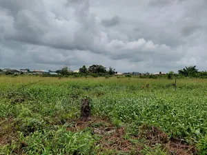 Plots Of Land Close To Road At Ijegun New Rd