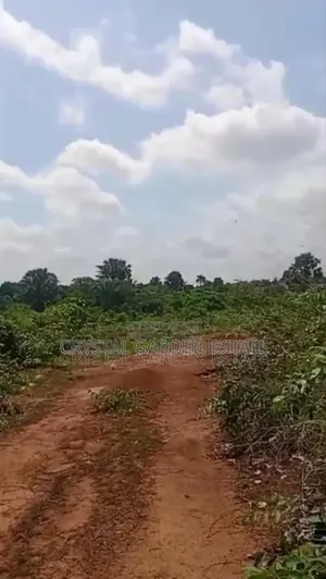 50x100sq. Meter Land For Sale At Nkwelle Ezunaka Anambra State.