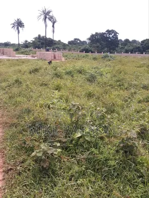 Large Plots for Sale at Magical Tropical County Homes Centenary City