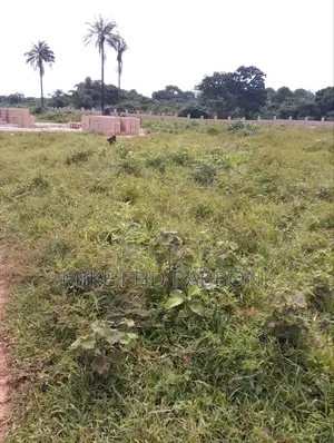 Large Plots for Sale at Magical Tropical County Homes Centenary City