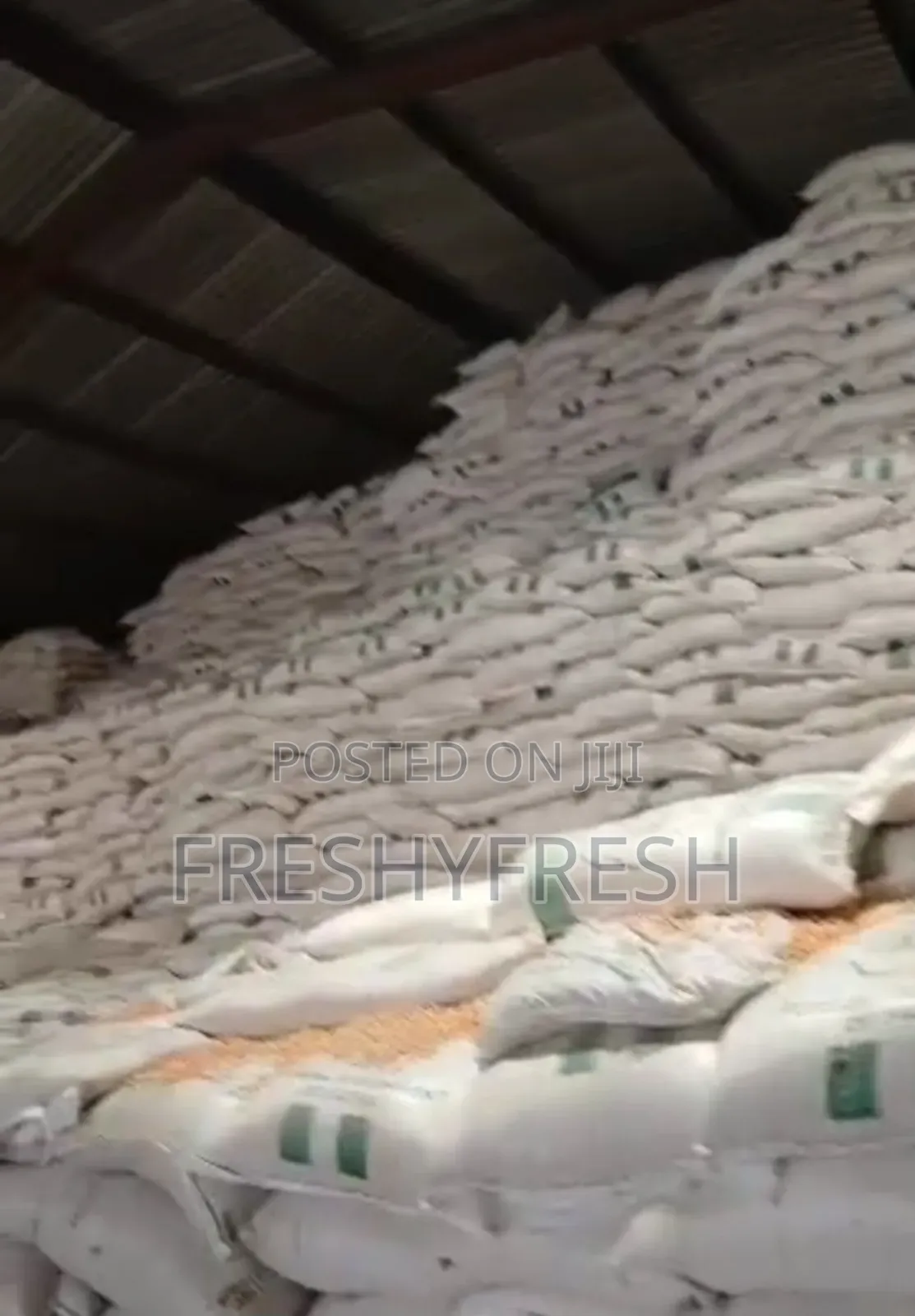 White and Yellow Maize