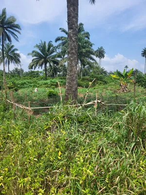 Farm Lands for Sale at Affordable Prices