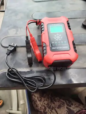 12/24v Battery Charger