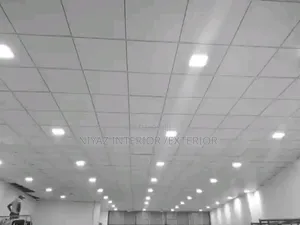 Suspended Ceiling