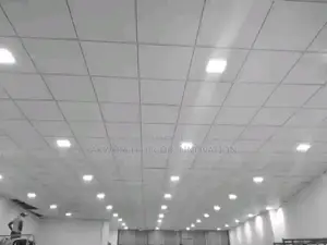 Suspended Ceiling