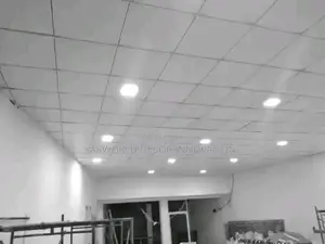 Suspended Ceiling