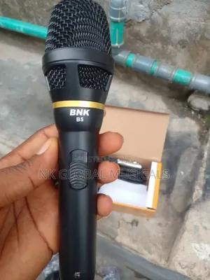BNK Professional Wired Mic