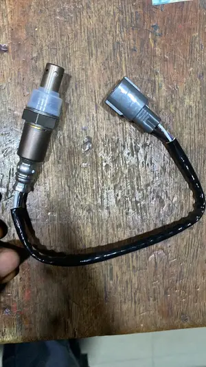Oxygen Sensor