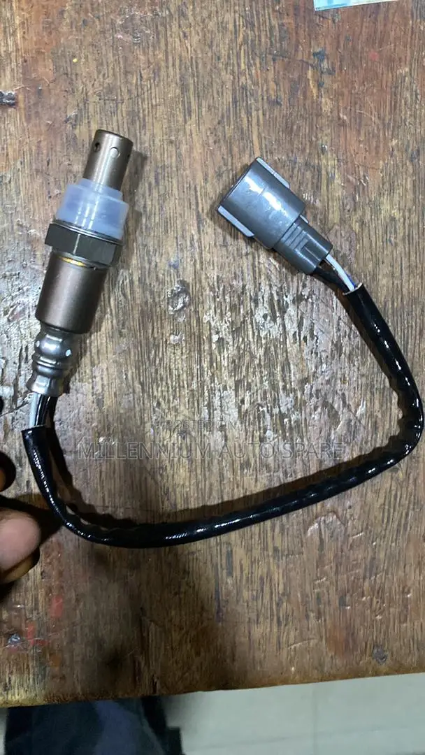 Oxygen Sensor