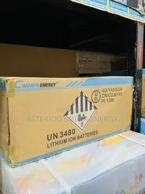 2.5kwh 24volts C Worth Energy Lithium Ion Battery