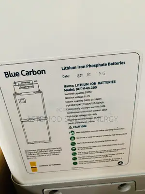 15kwh 51.2v Blue Carbon Lithium Ion Battery(Stackable)