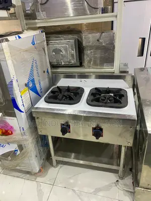 Industrial Gas Cooker Standing Double Burna