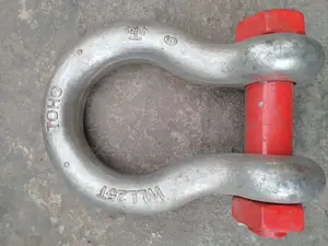25ton Shackle