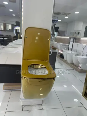 Gold Concealed Wc