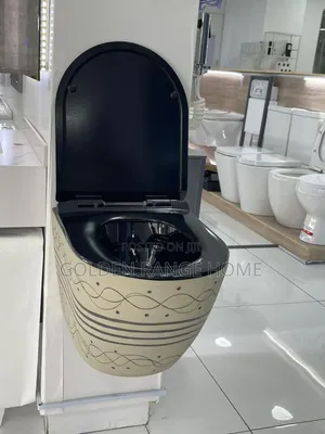 Elegant Concealed/ Wall Hung Watercloset