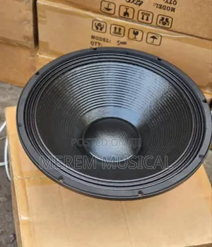 18" Omax Naked Speaker