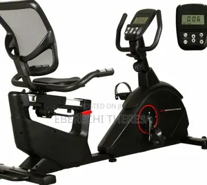 Commercial Recumbent Bike