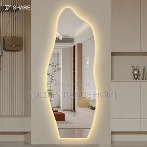Modern Art Shaped Full Length Dressing Mirror