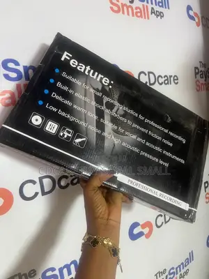 Pay Small Small Professional Studio Microphone On Cdcare.App