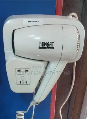 Hair Dryer (White)