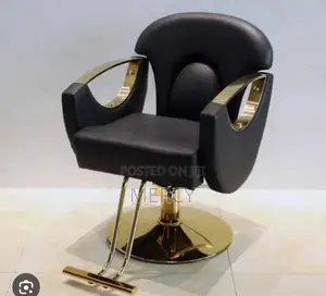 Quality Swivel Salon Chair