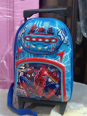 Boys Single Trolley School Bag