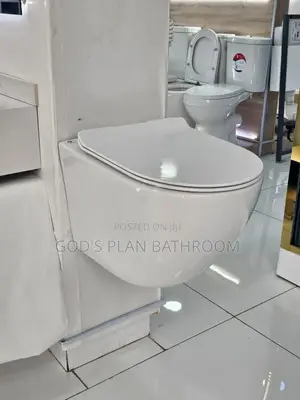 Conceal Water Closet White