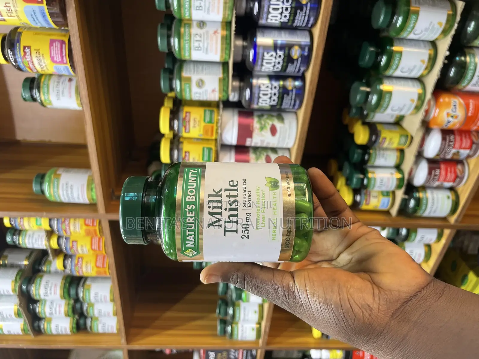 Milk Thistle