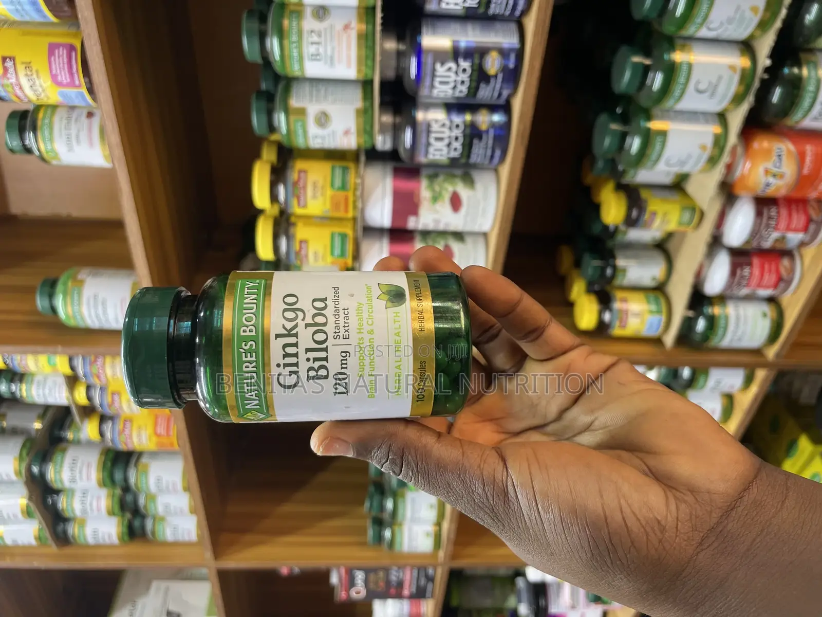 Ginkgo Biloba