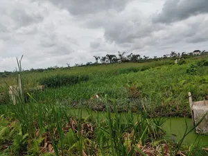 600sqm Full Plot Across Fasheun Bridge Isheri Osun Alimosh