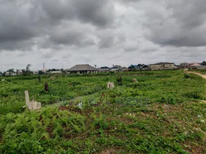 20 000 Acers of Mixed Farmland Ogun State