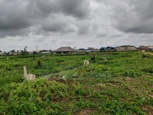 20 000 Acers of Mixed Farmland Ogun State