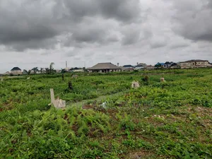 20 000 Acers of Mixed Farmland Ogun State